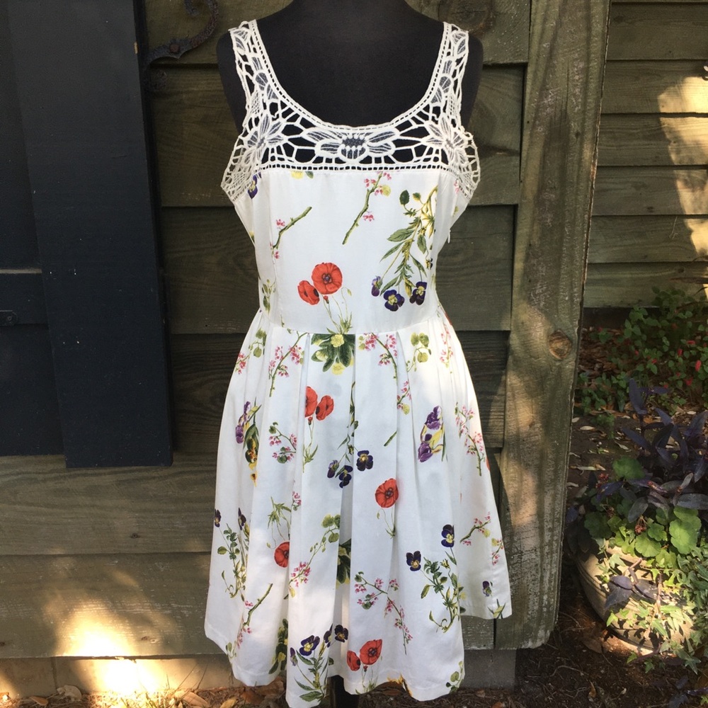 BB Dakota Flirty Floral Cotton Dress